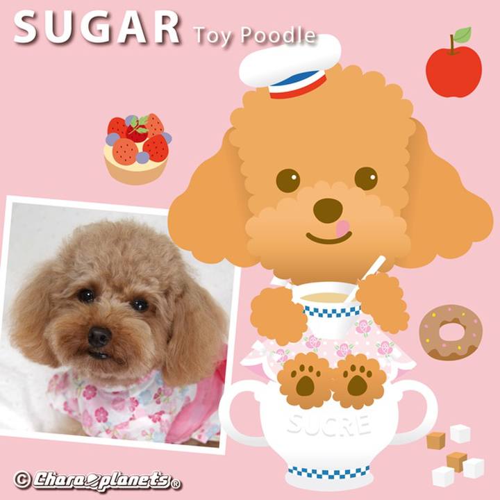 F461d624 7545 44b9 a9ea 0283a4a16348 1566172437029