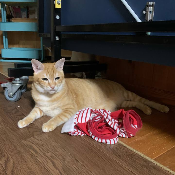 F461daa1 2c9b 44a6 97bf e4bc9a723cac 1594037648953