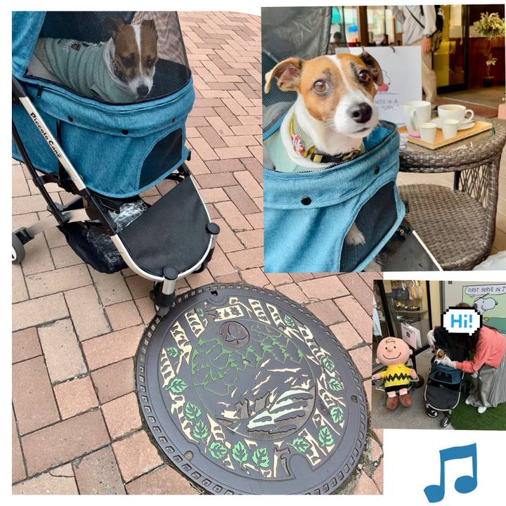 F461dbdf 83ba 4804 a77b 4fa93d781c8f 1716774826364