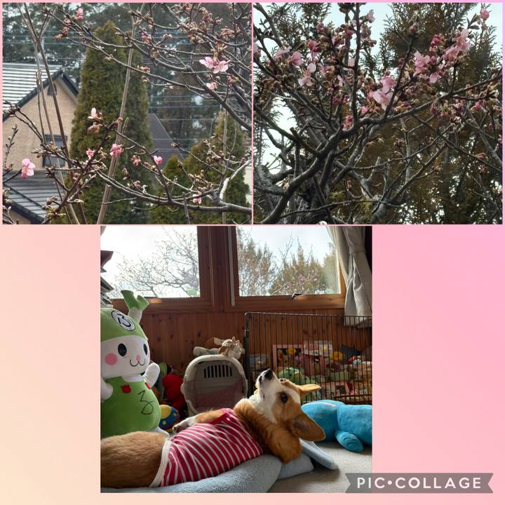 F4621108 fae6 4c4a 8e72 4f00b69095cd 1771914677968