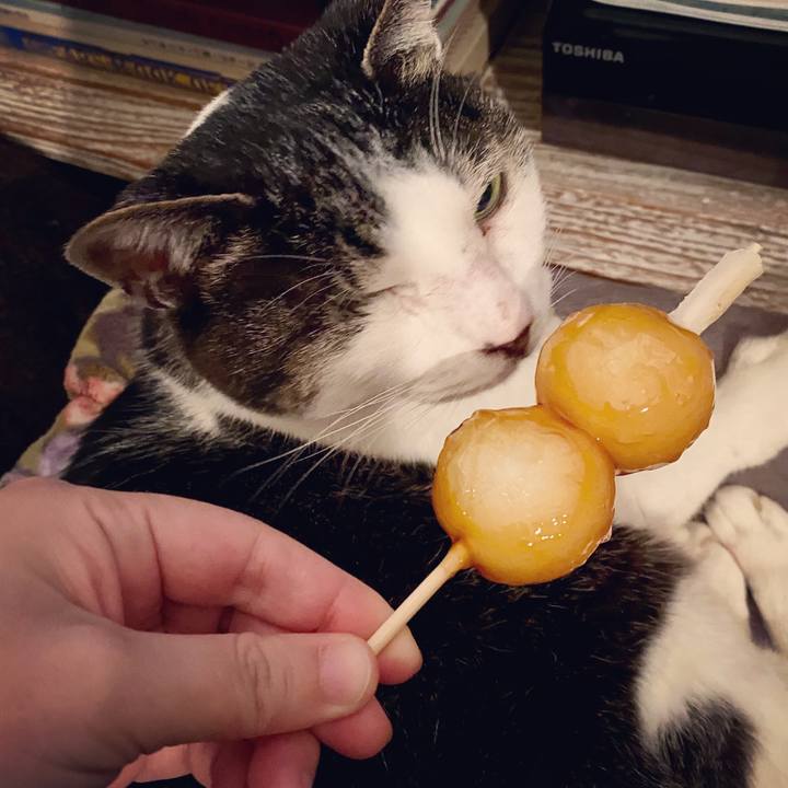 F4626d29 7166 4d46 aad4 56d5b03a1b1e 1585745411158