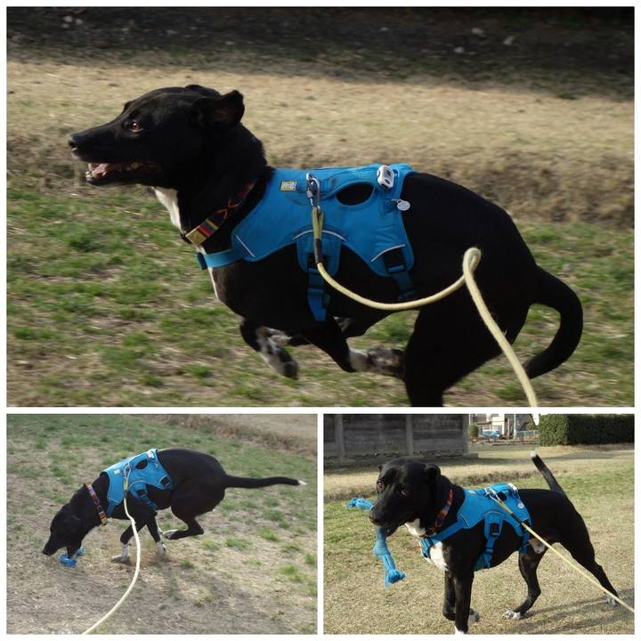 F46284b0 0fc6 4096 8067 7b1cb3ce39e5 1616114032143