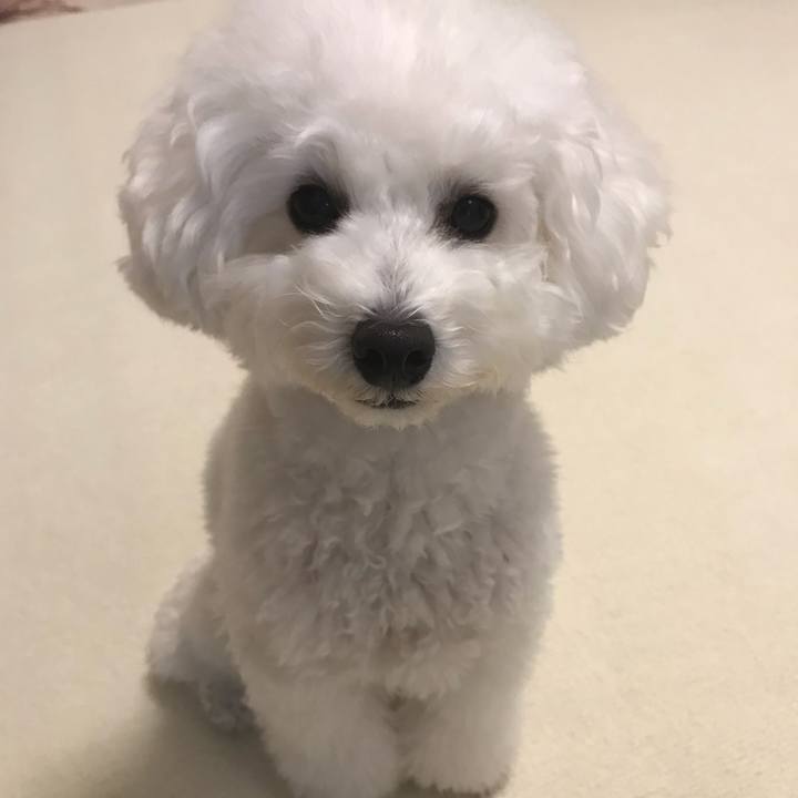 F462a32f aa88 4ef2 adce b14384f36033 1521641584595