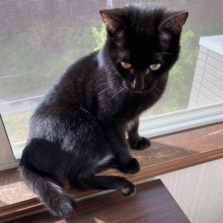 F462aca7 dfe8 4d3e 879c 3d608923d470 1618141187302