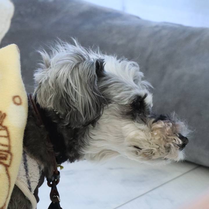 F462b103 bf79 462e 9be4 0010f1df7175 1763250320341