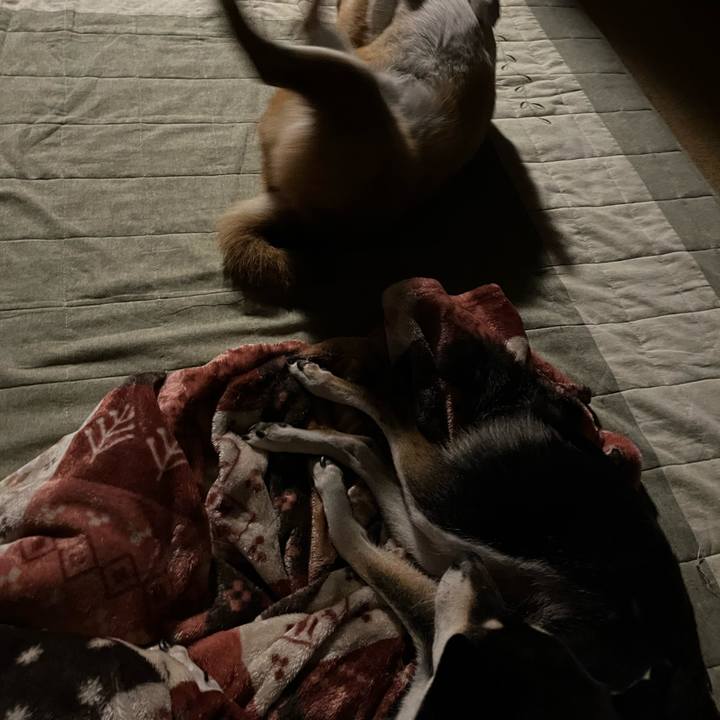 F462b440 5700 40f1 8be9 900f75971a48 1635630157566