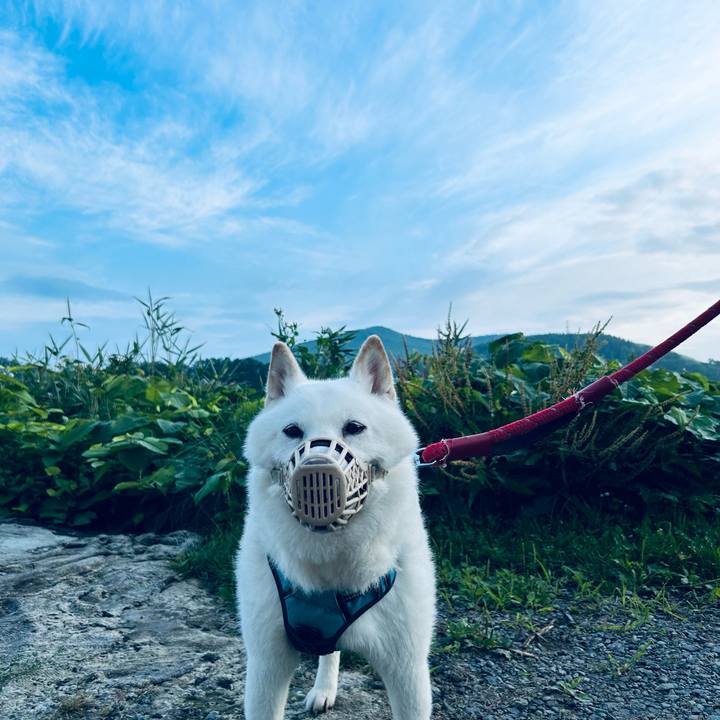 F462f171 e941 4b60 9f3f 7a3d63e5740b 1722636472514