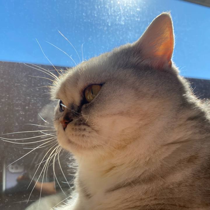 F4634b79 b57b 4ee9 b8ee 3a6d2748996b 1739241594439