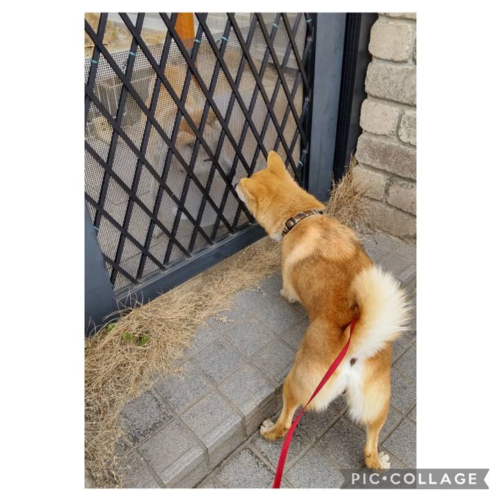 F4636813 5fc8 4707 9b8e e2cdd72a8ea6 1676600533614