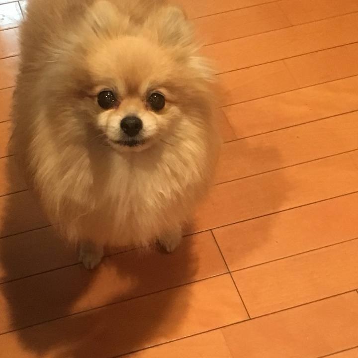 F4638535 6c7a 4058 bd88 d081cc9f2ae2 1554357945529