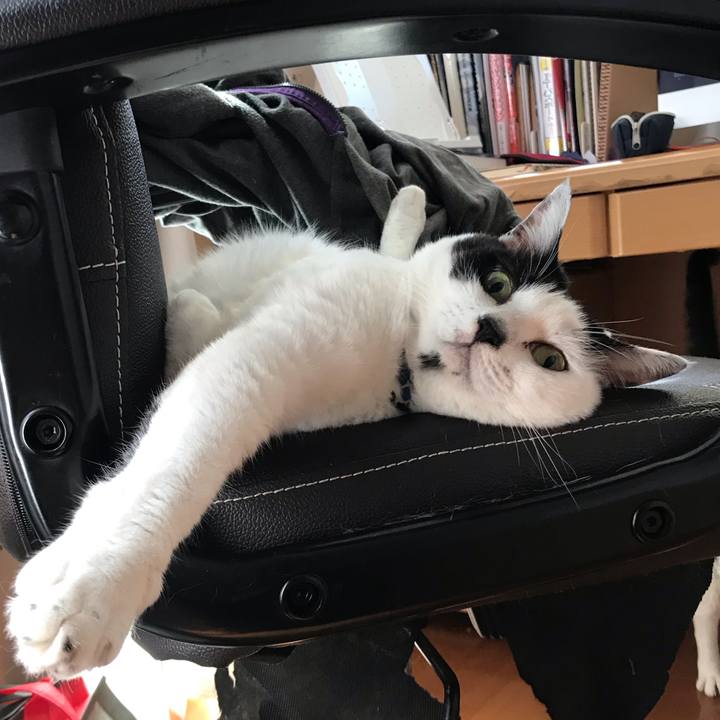 F463ae09 0357 41ba b20a 09d9907f2495 1598237458377