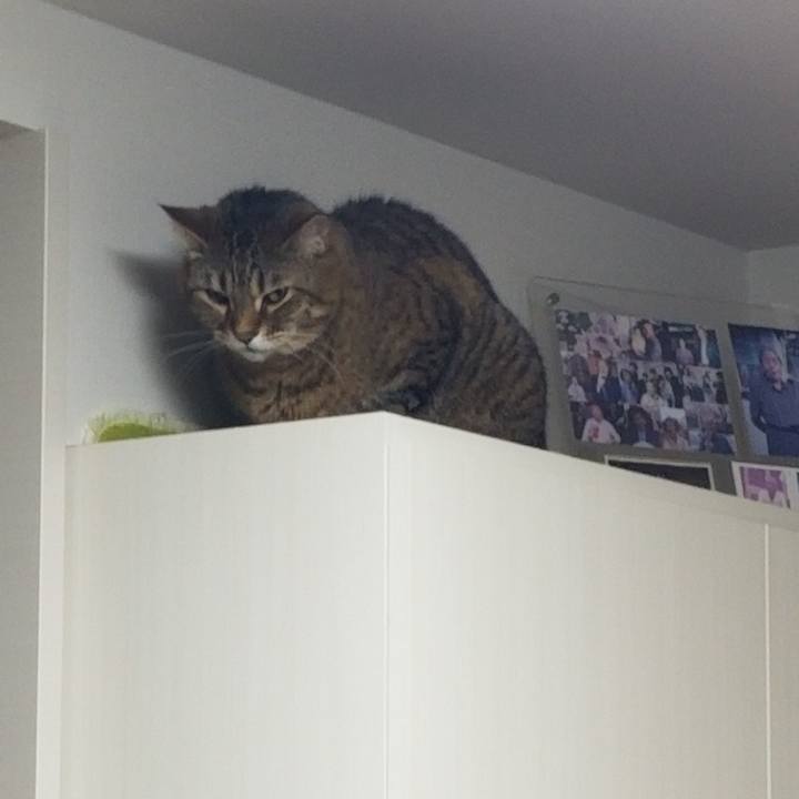 F463cd92 a8d5 458f a2e7 bfc6bfa67604 1618263628754