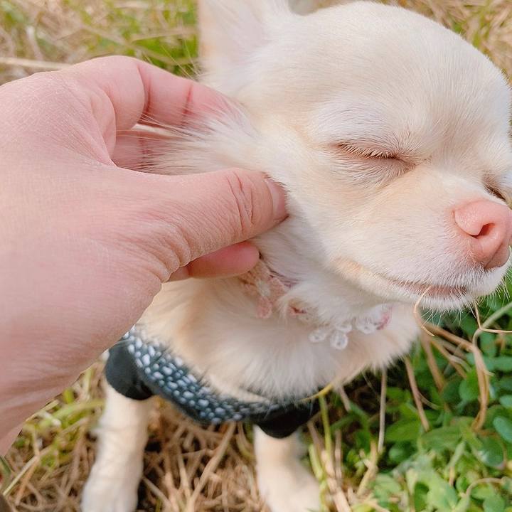 F463e602 ea2c 4a70 b76e 626fc1086a5e 1614850001044