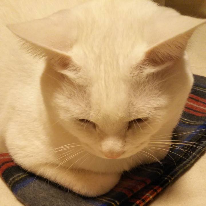 F463ec81 a666 4940 942d efd6dac4b875 1543591014929