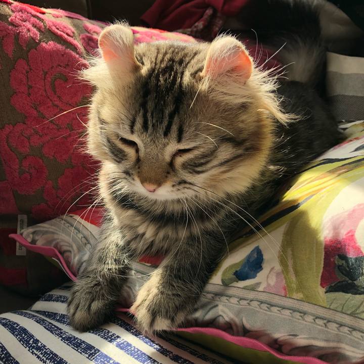 F463fca3 aa27 47ee bf7e c409c7c732a7 1520651053732