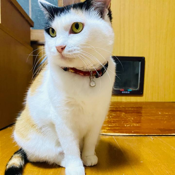 F46441eb b326 456e 8917 37b7ce9aa8c6 1690981197083