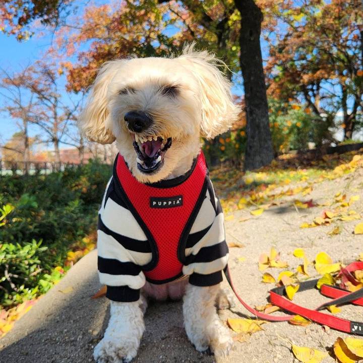 F4644999 f83c 4443 967b cbe82ea291b8 1764147549503