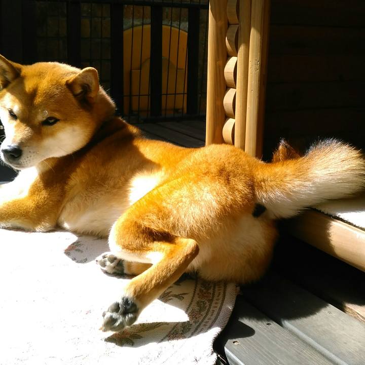 F4644e58 79b1 4d44 a42f 4e5f52eca599 1553217832563