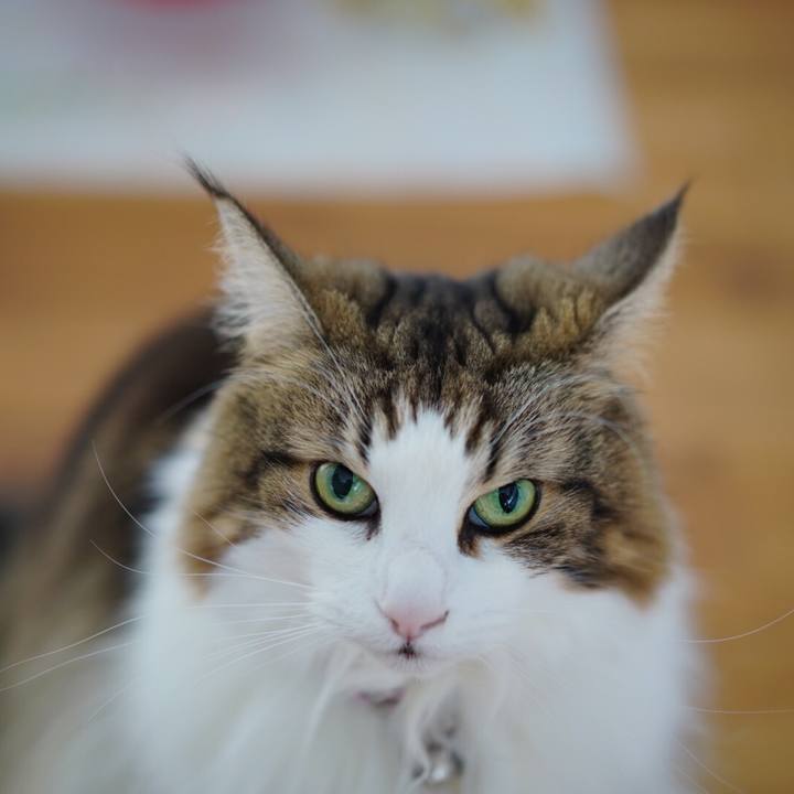 F4645f8c e042 4ce4 add1 e9d5e84f1168 1666676152230