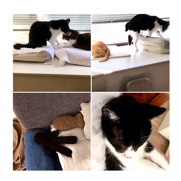 F46477d2 a753 4c4d 8b17 452d66462979 1600128027918