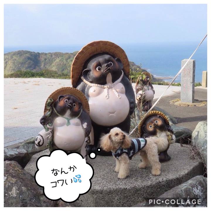 F464e2b3 3a63 4377 a943 2a284ea67c15 1578091170914