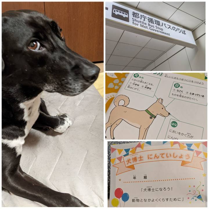 F464ef70 90da 430d 83b9 7c53bdbccb14 1659532883947