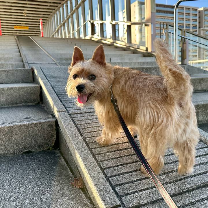 F46512c7 f93f 4734 8c26 44c70b86b6e3 1752913920748