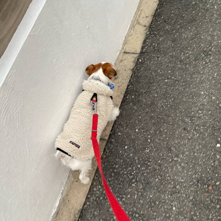 F4652061 35e4 402c 8808 c20cc4b40e72 1739364224651