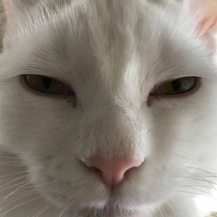 F4654586 3cc9 4f06 8387 cf39fb90b9da 1520418464735