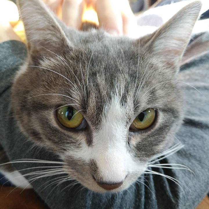 F4656539 0013 466c afa6 6059e1382f8a 1584227549146