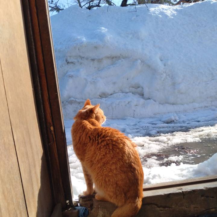 F465be41 41ab 496f a963 3924dd7cfa77 1739598822809