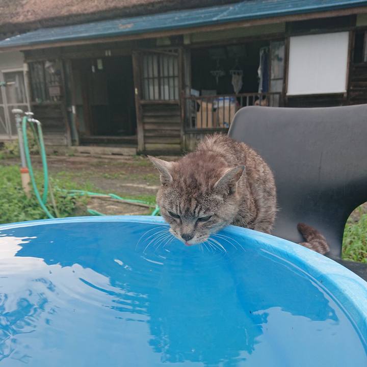 F465d856 ad2e 4972 99a9 05dea829c800 1596964199310