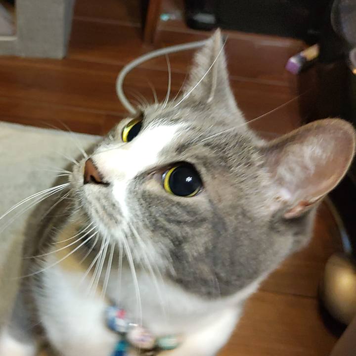 F465f4cf 9b30 4524 908e 54b19276ecb5 1665665113729