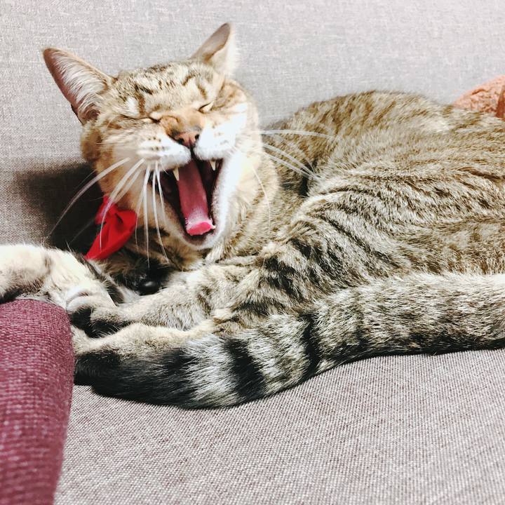 F465fa49 247d 47fb 8f25 7cb40530be75 1593851374359