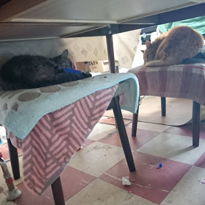 F465fb87 143a 4052 b2c3 bb3c3c075668 1586897817014