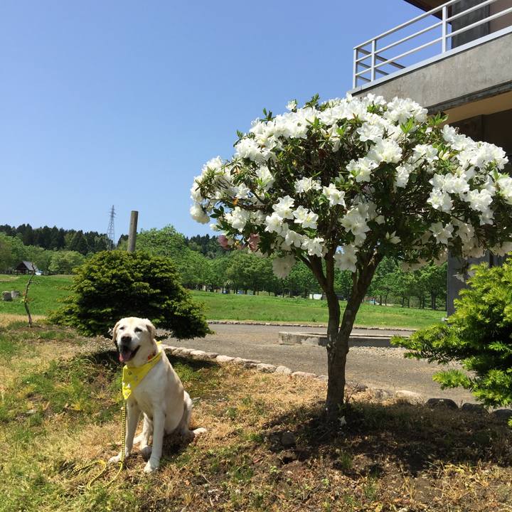 F466329d bd4a 4b43 bc16 92befd6ad339 1525511291271