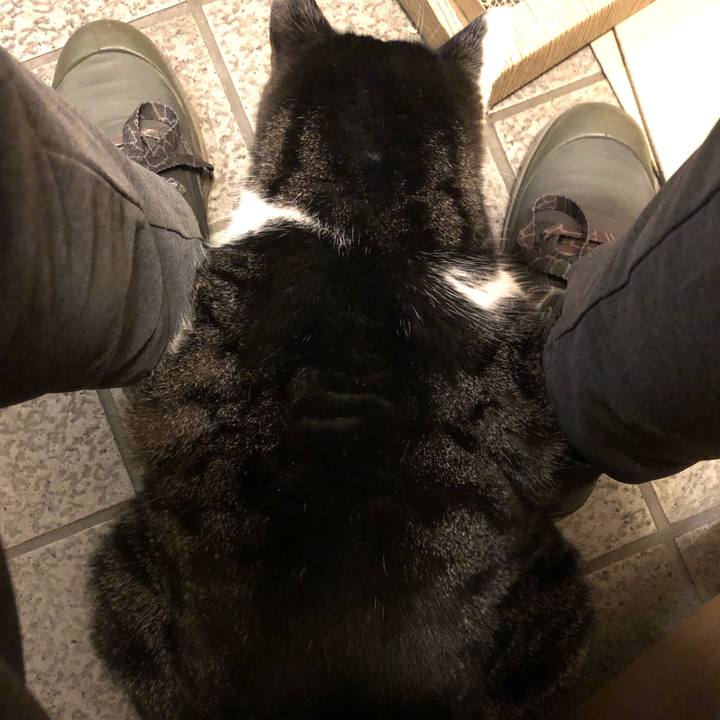 F466386b ad26 4ff5 a6b2 c97899d5f9dc 1579347758124