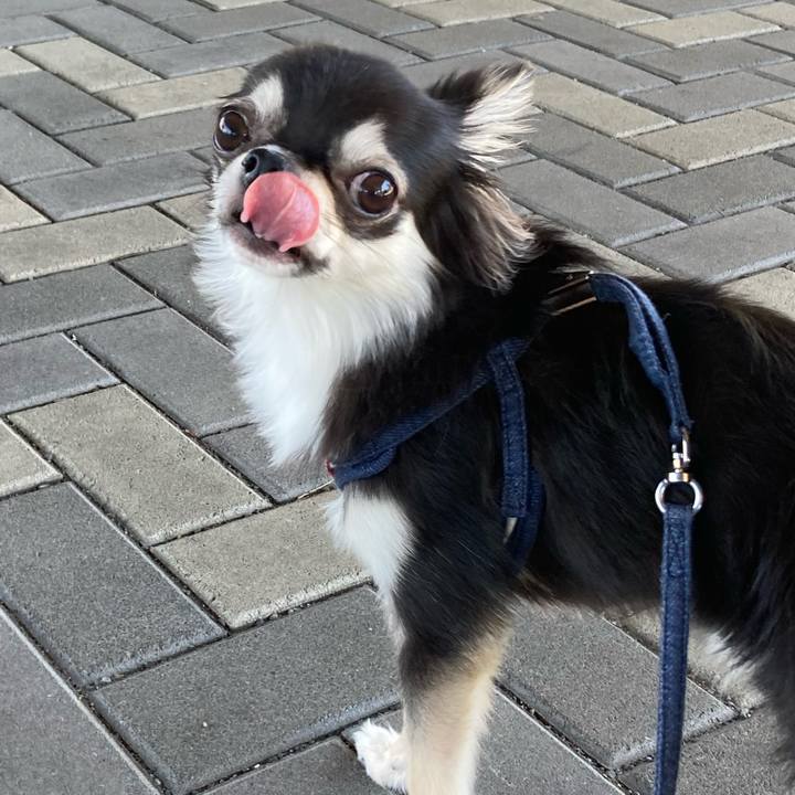 F4663a7a dea7 458f bf16 3b75641b29c3 1632041635320