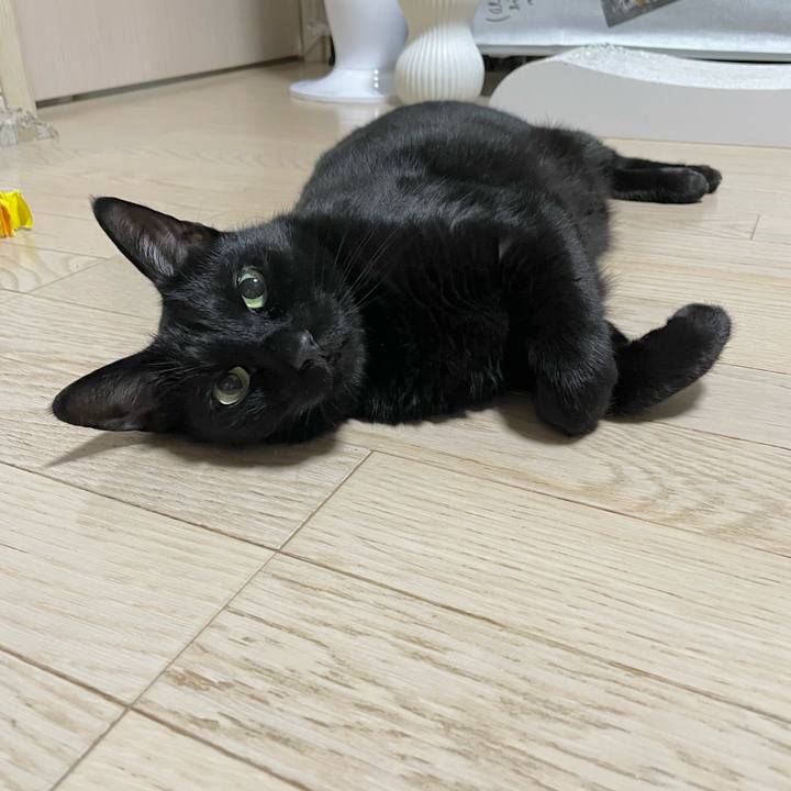 F4666f63 6680 4dc8 94ce 7dd8303b884c 1664723294161