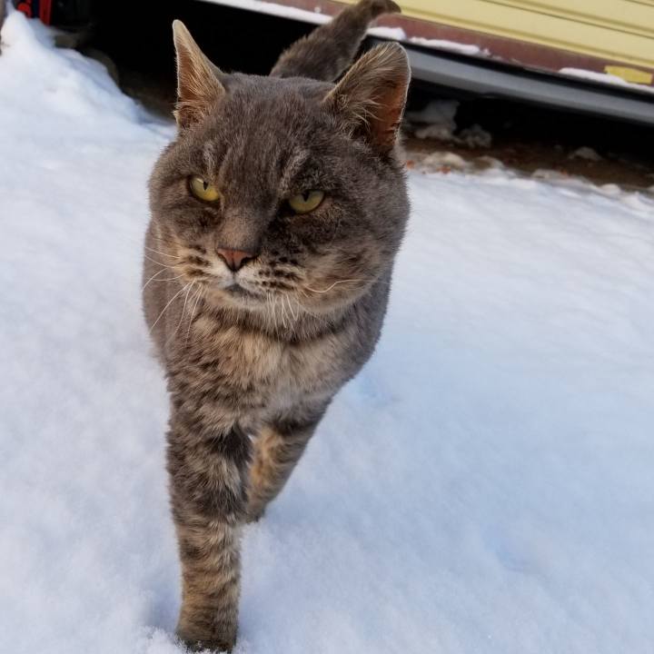 F466930c 9325 419a aa35 d9fb981172a7 1547040620517