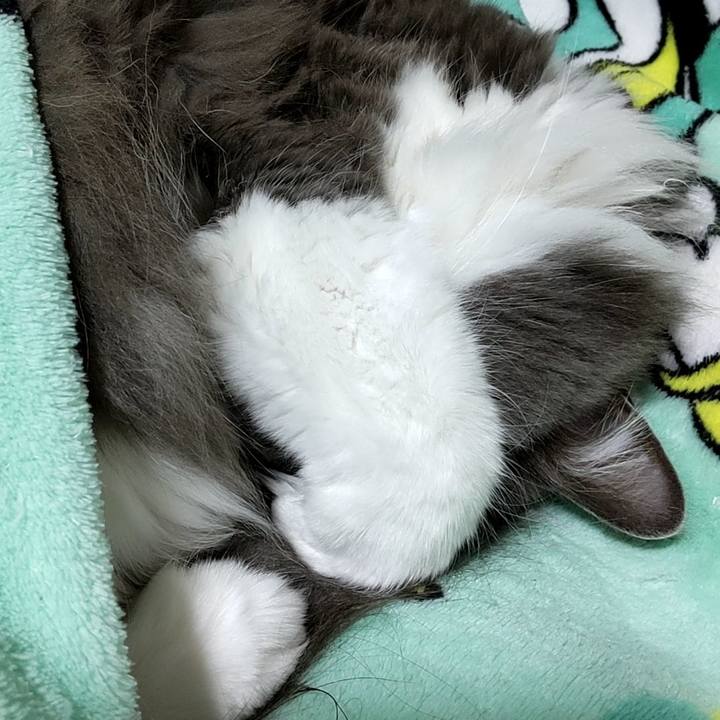 F466bca5 64b2 4963 8db6 25dcdeacbb56 1737018420217