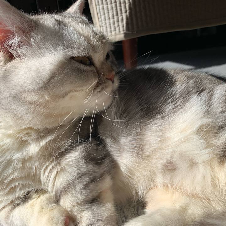 F466d52d 64a8 40ad 80b7 61f4ae6eb28e 1709425403499