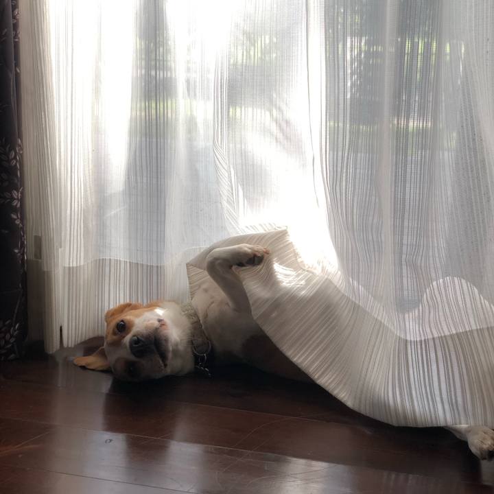 F4670ecd d2aa 4d4b 81e0 c59ea66506e2 1596457962118