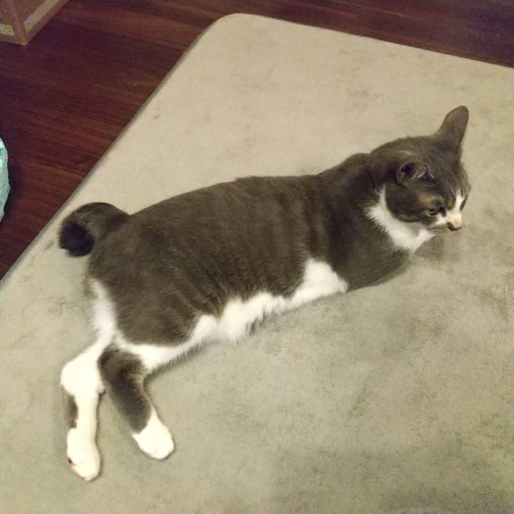 F4672ddc 8e9b 47b4 93b3 cef1046aa74b 1621549459088