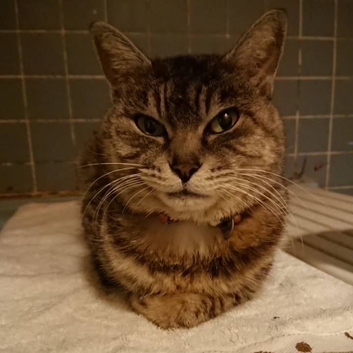 F4673858 0d85 4c14 9f57 89dca41ca02f 1584438200282