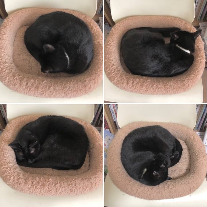 F4675892 fda0 4dcd a229 61cf8ab9229e 1617100407121