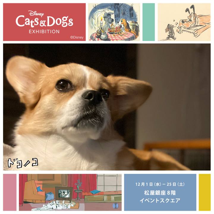 F4678737 c2fa 4833 9d69 352bc5e6bbe1 1638341795273