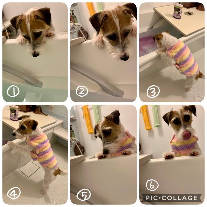 F4683892 e8c1 444f 88b6 877e8c138fd3 1605102846820