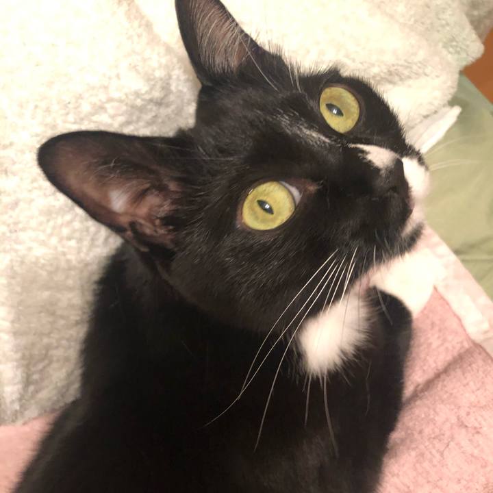 F4684a51 bfd3 46eb 997d 1dcb84512c75 1590222672232