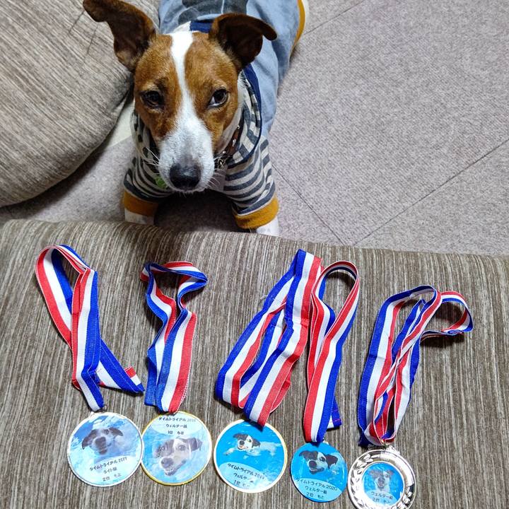 F46895a6 e99b 4e7a b308 fbcd35256e0a 1632396467561